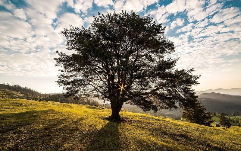 Transylvania, Romania